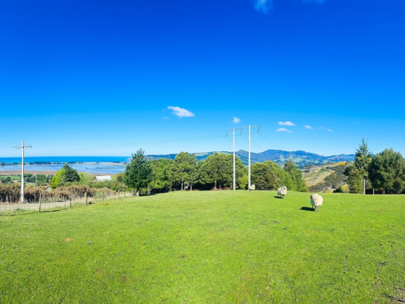 McGuire Real Estate | Dunedin - 107 Jones Road - Evansdale