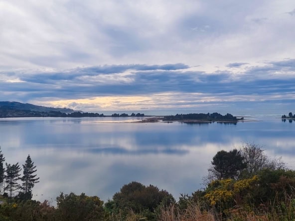 McGuire Real Estate | Dunedin - 14 View Street - Warrington