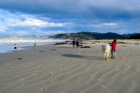 McGuire Real Estate | Dunedin - 14 View Street - Warrington