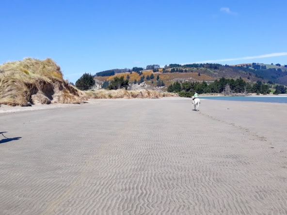 McGuire Real Estate | Dunedin - 14 View Street - Warrington