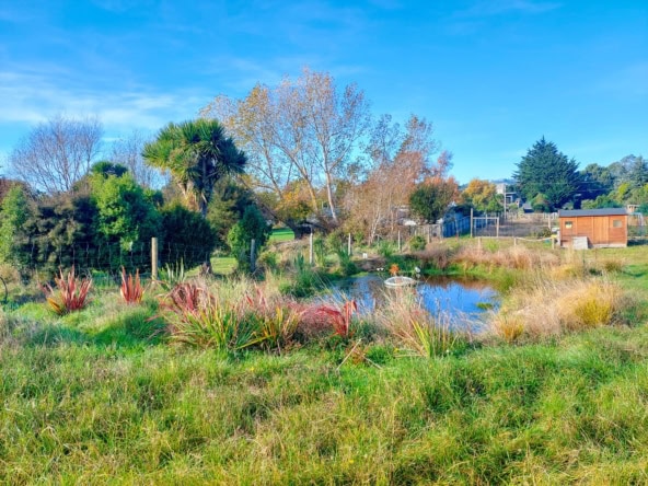 McGuire Real Estate | Dunedin - 14 View Street - Warrington
