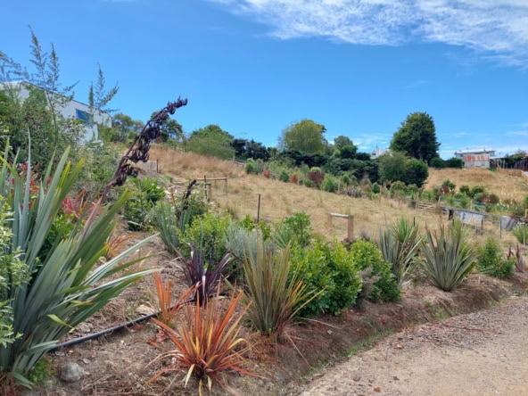 McGuire Real Estate | Dunedin - 15 View Street - Warrington