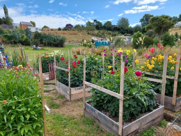 McGuire Real Estate | Dunedin - 15 View Street - Warrington