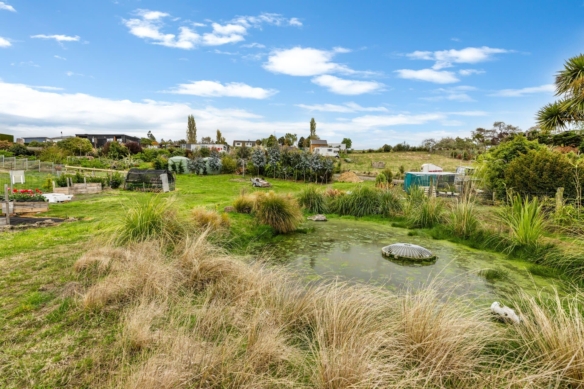 McGuire Real Estate | Dunedin - 15 View Street - Warrington