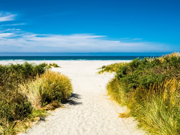 McGuire Real Estate | Dunedin - 16 View Street - Warrington