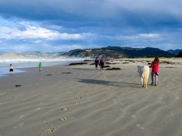 McGuire Real Estate | Dunedin - 16 View Street - Warrington