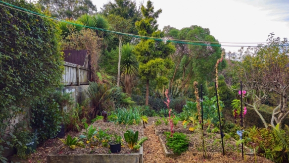 McGuire Real Estate | Dunedin - 172 Gladstone Road - Dalmore