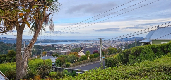 McGuire Real Estate | Dunedin - 172 Gladstone Road - Dalmore