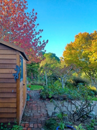 McGuire Real Estate | Dunedin - 172 Gladstone Road - Dalmore