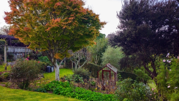 McGuire Real Estate | Dunedin - 172 Gladstone Road - Dalmore
