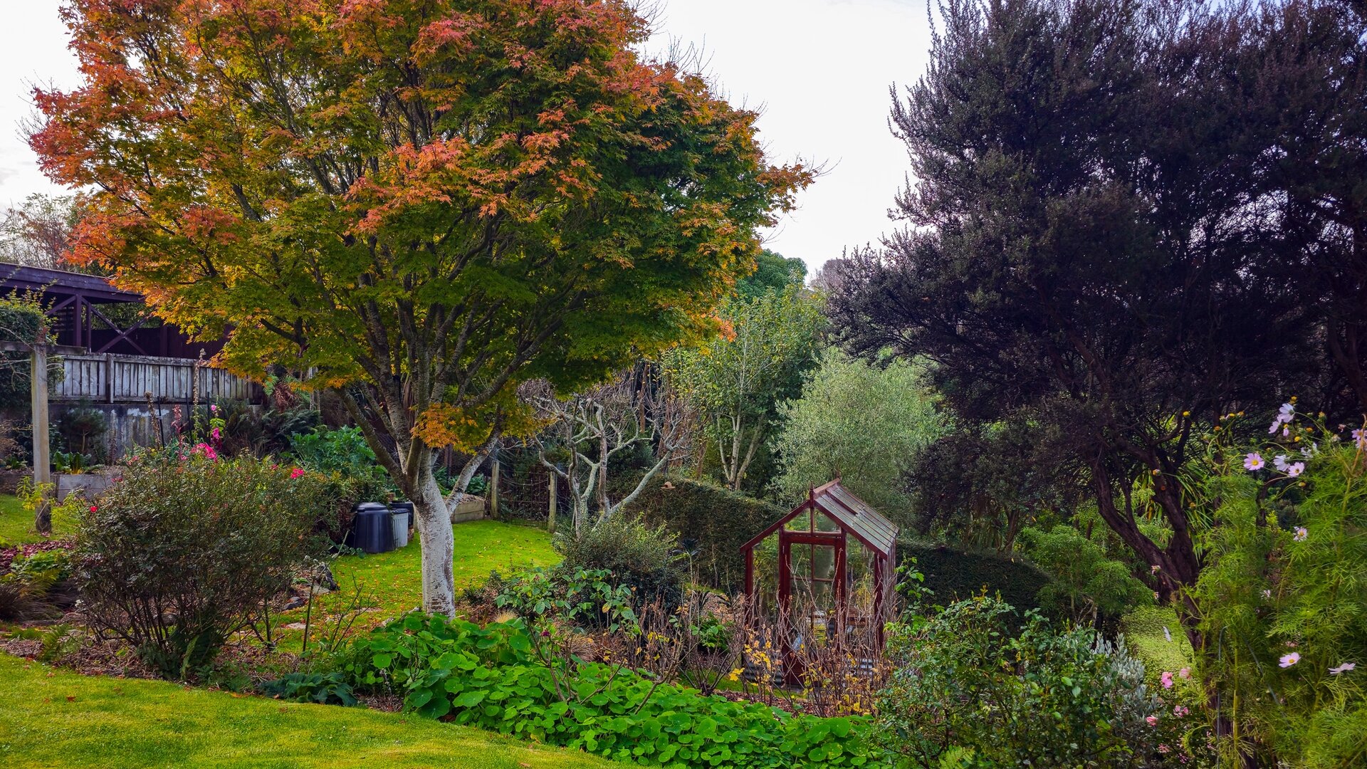 McGuire Real Estate | Dunedin - 172 Gladstone Road - Dalmore