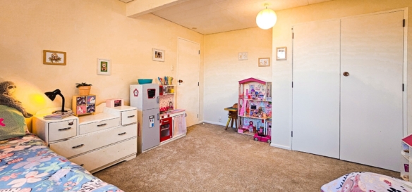 McGuire Real Estate | Dunedin - 19 Dalrymple Street - Pine Hill