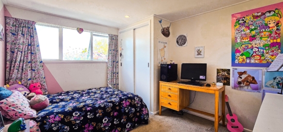 McGuire Real Estate | Dunedin - 19 Dalrymple Street - Pine Hill