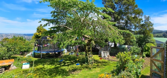 McGuire Real Estate | Dunedin - 19 Dalrymple Street - Pine Hill