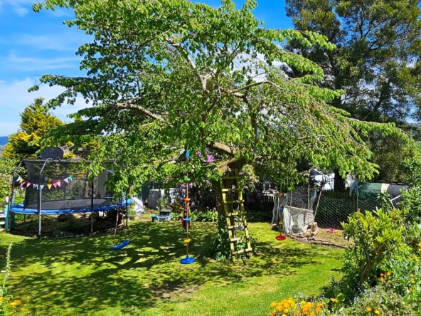 McGuire Real Estate | Dunedin - 19 Dalrymple Street - Pine Hill