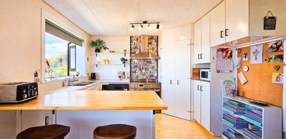 McGuire Real Estate | Dunedin - 19 Dalrymple Street - Pine Hill