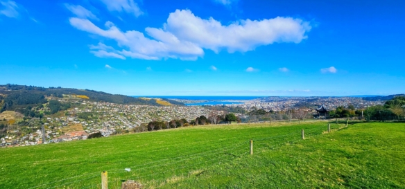 McGuire Real Estate | Dunedin - 96 Campbells Road - Pine Hill