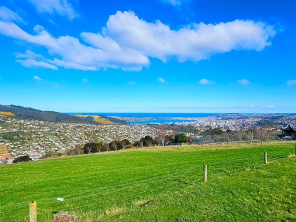 McGuire Real Estate | Dunedin - 96 Campbells Road - Pine Hill