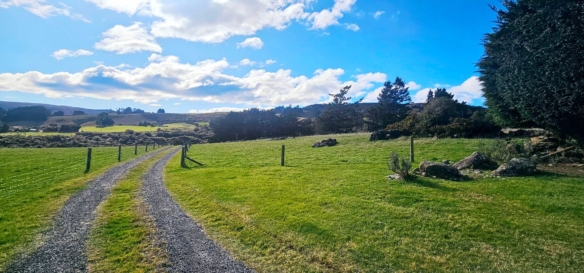 McGuire Real Estate | Dunedin - 96 Campbells Road - Pine Hill