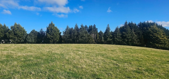 McGuire Real Estate | Dunedin - 96 Campbells Road - Pine Hill