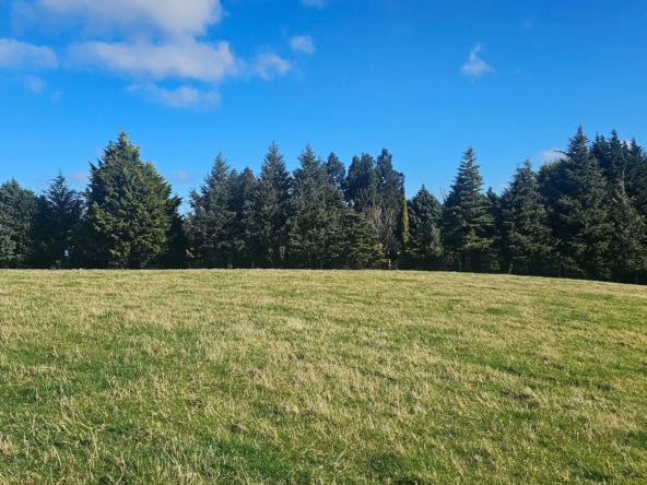 McGuire Real Estate | Dunedin - 96 Campbells Road - Pine Hill