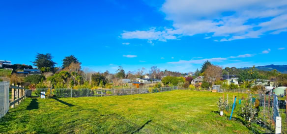 McGuire Real Estate | Dunedin - 16 View Street - Warrington