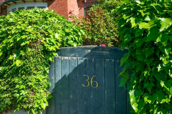 McGuire Real Estate | Dunedin - 36 Sandringham Street - Saint Clair