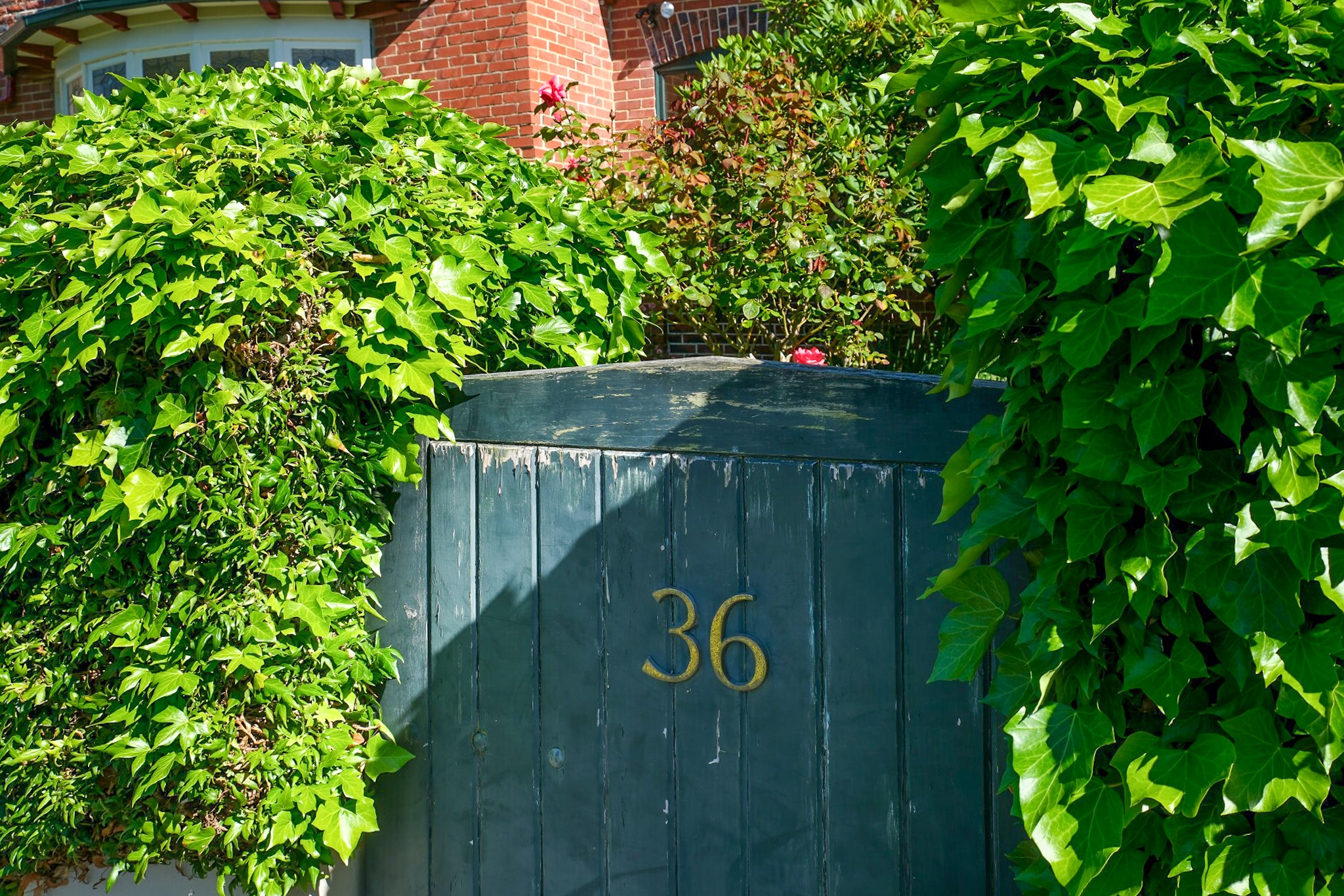 McGuire Real Estate | Dunedin - 36 Sandringham Street - Saint Clair